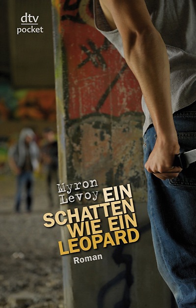 Cover "Ein Schatten wie ein Leopard", DTV-Verlag